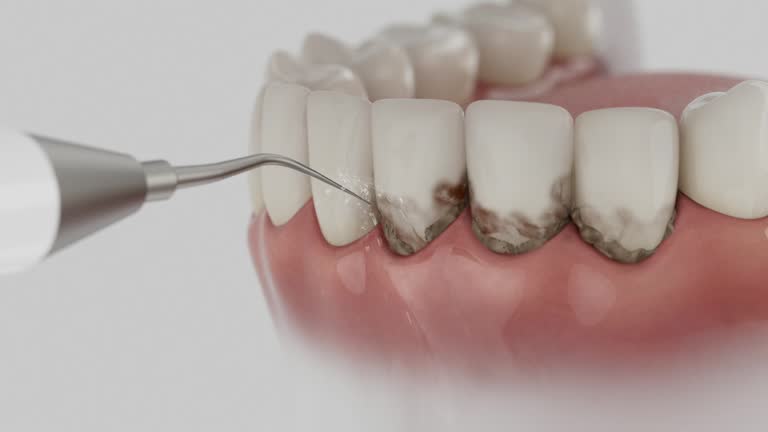 Reliable Dental contractor in Colfax, IL by Dentist Open Now